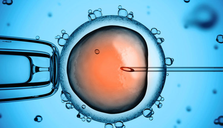 Nål förs in i ägg