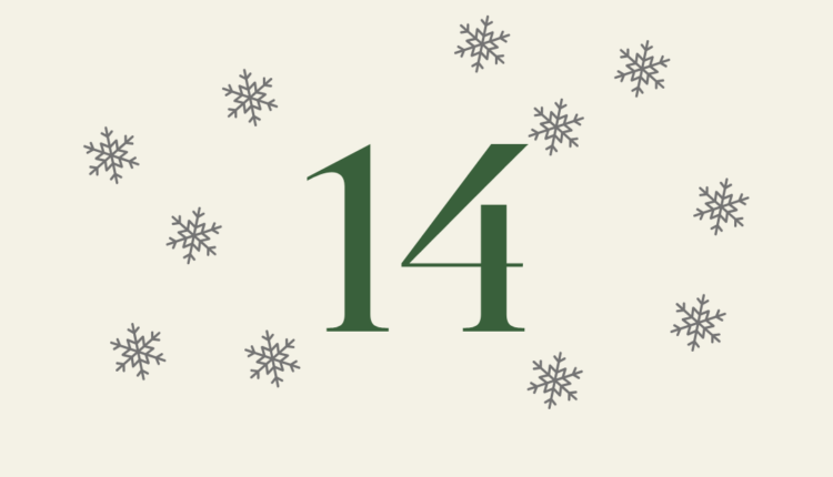Lucka 14 i julkalender där varje dag är en berättelse om ofrivillig barnlöshet